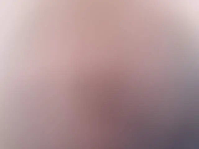 bitchisangen image 3